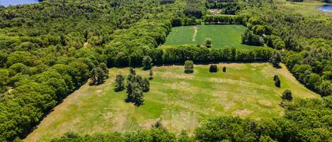 An aerial view of a large, green landscape with a central open field, surrounded by dense forest and hills in the background.