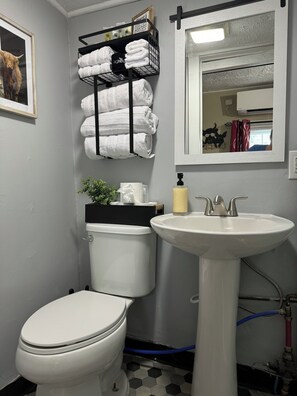 Dusche, Handtücher, Seife, Shampoo