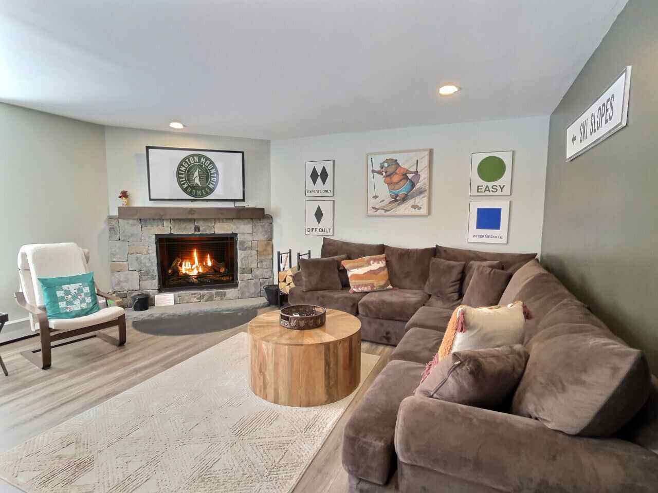 TV, fireplace, books, stereo