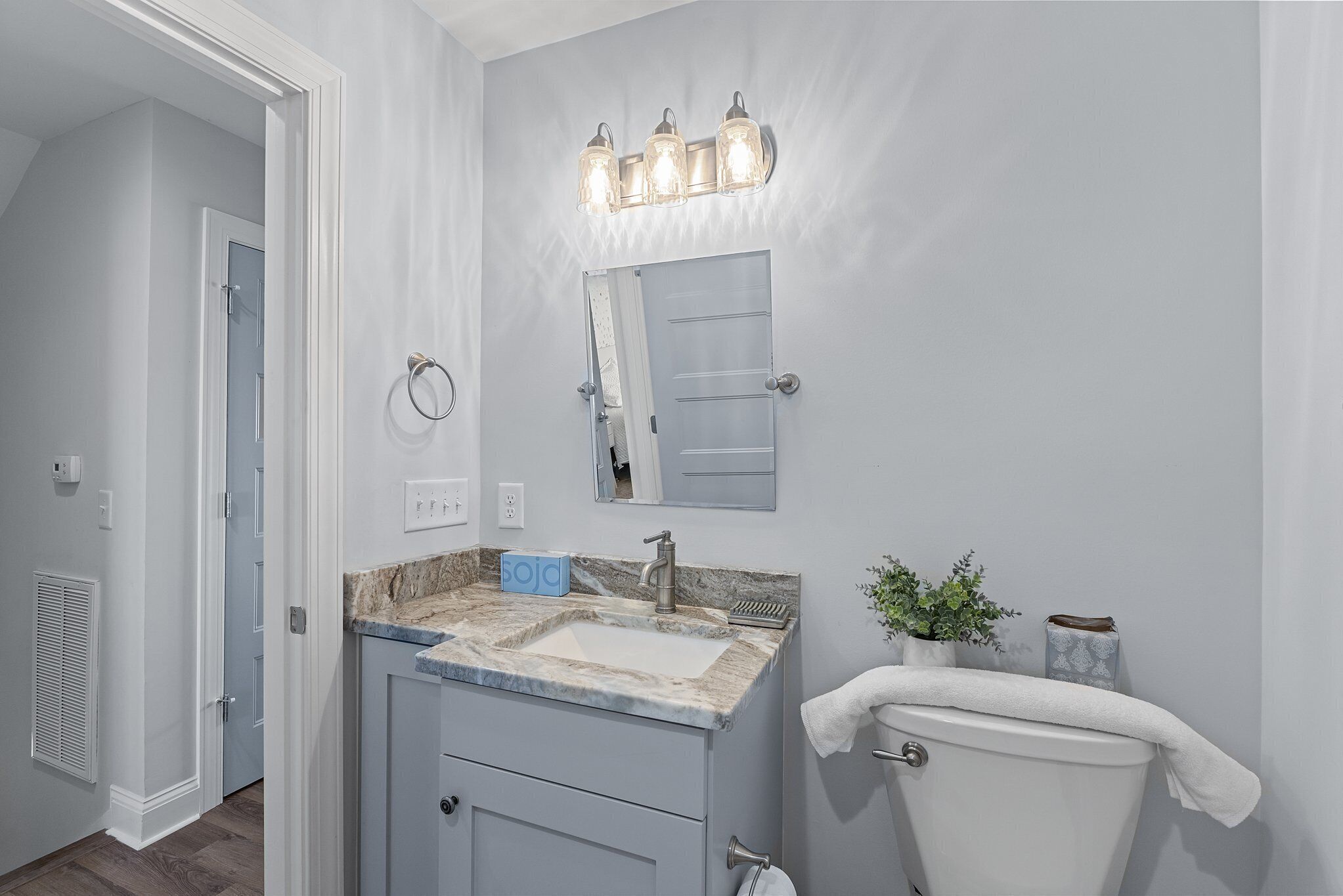 Une salle de bain avec un lavabo, un miroir et des toilettes. Une serviette est accrochée aux toilettes, il y a une plante en pot et un luminaire au-dessus du miroir.