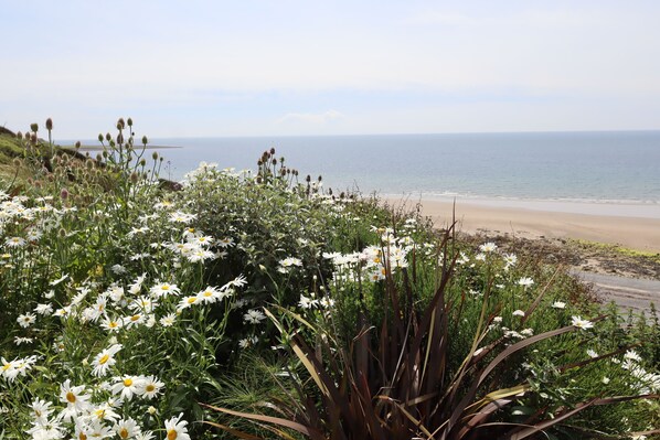 Beach - Tigh Samhradh - a cottage that sleeps 4 guests in 1 bedroom (Monreith)