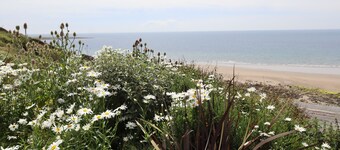 Tigh Samhradh -  a cottage that sleeps 4 guests  in 1 bedroom