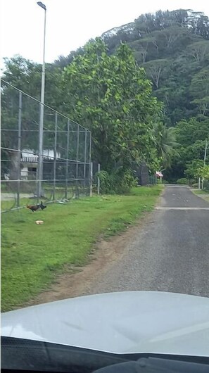Sports court