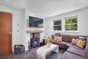 TV connectée, cheminée, livres, chaîne hi-fi