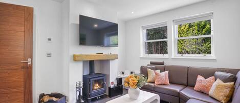 TV connectée, cheminée, livres, chaîne hi-fi