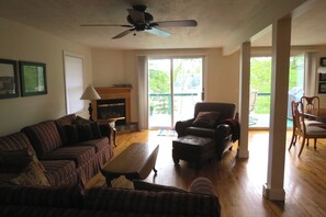 Smart TV, chimenea y reproductor de DVD 