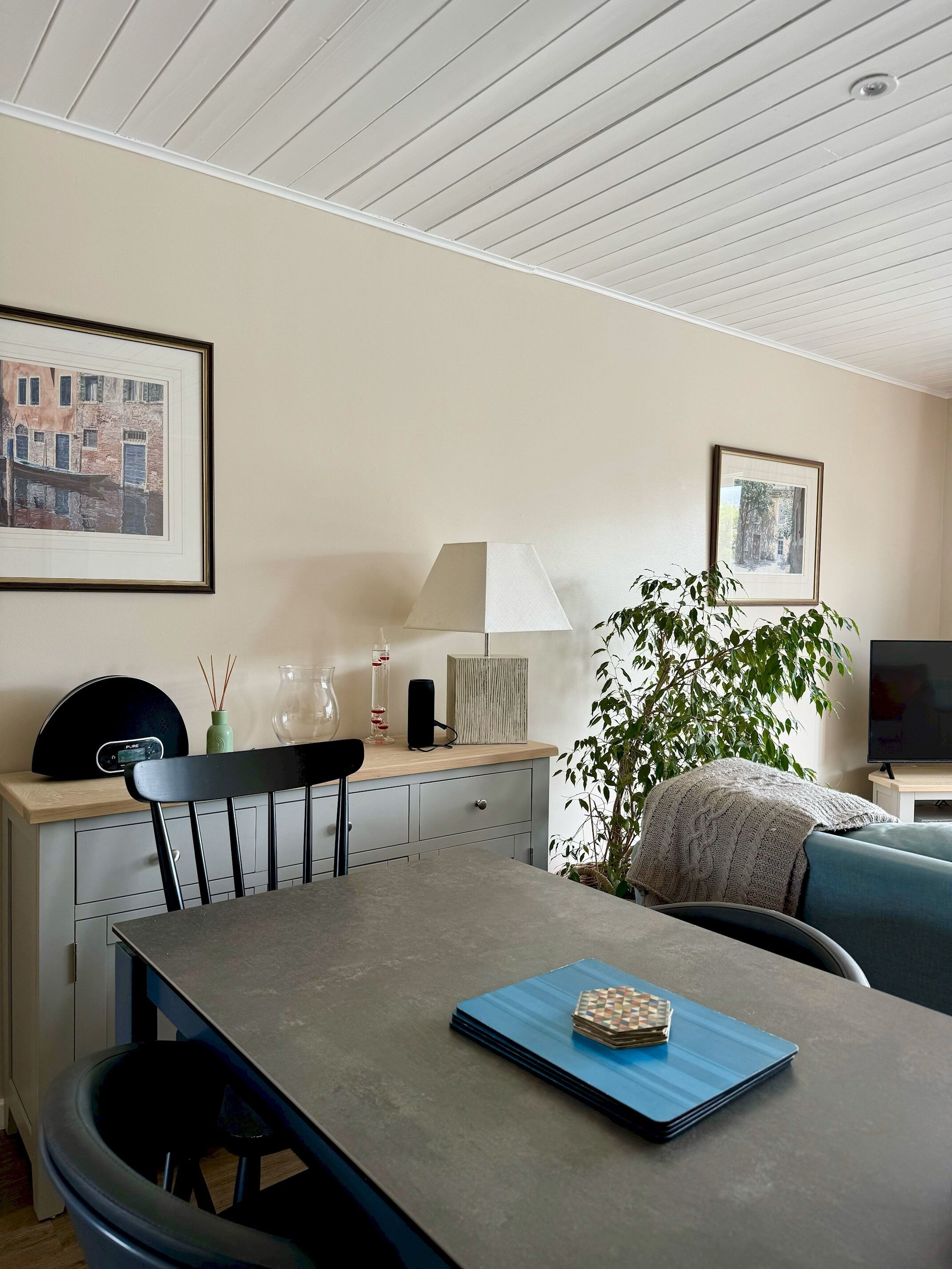 Un salon moderne avec une table à manger, des chaises, un téléviseur et une grande plante.