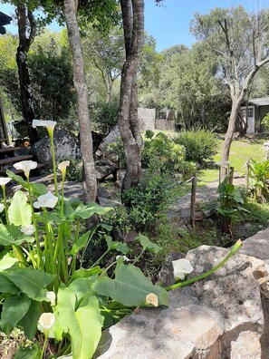 Property grounds - Comfortable studio apartment with large, lush garden with separate kitchenette. (Porto Rotondo)