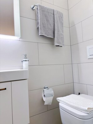 Hair dryer, towels, soap, toilet paper