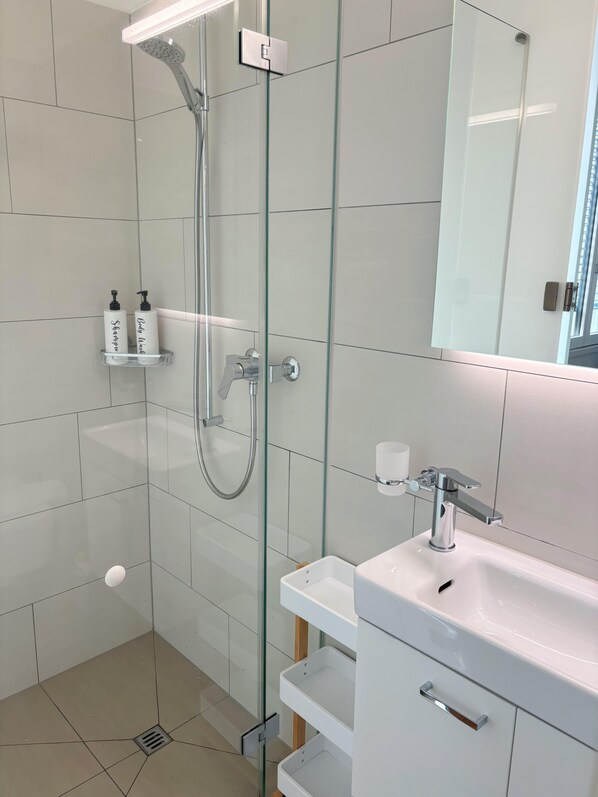 Hair dryer, towels, soap, toilet paper