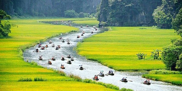 Un río con barcos, rodeado de campos verdes y frondosos.