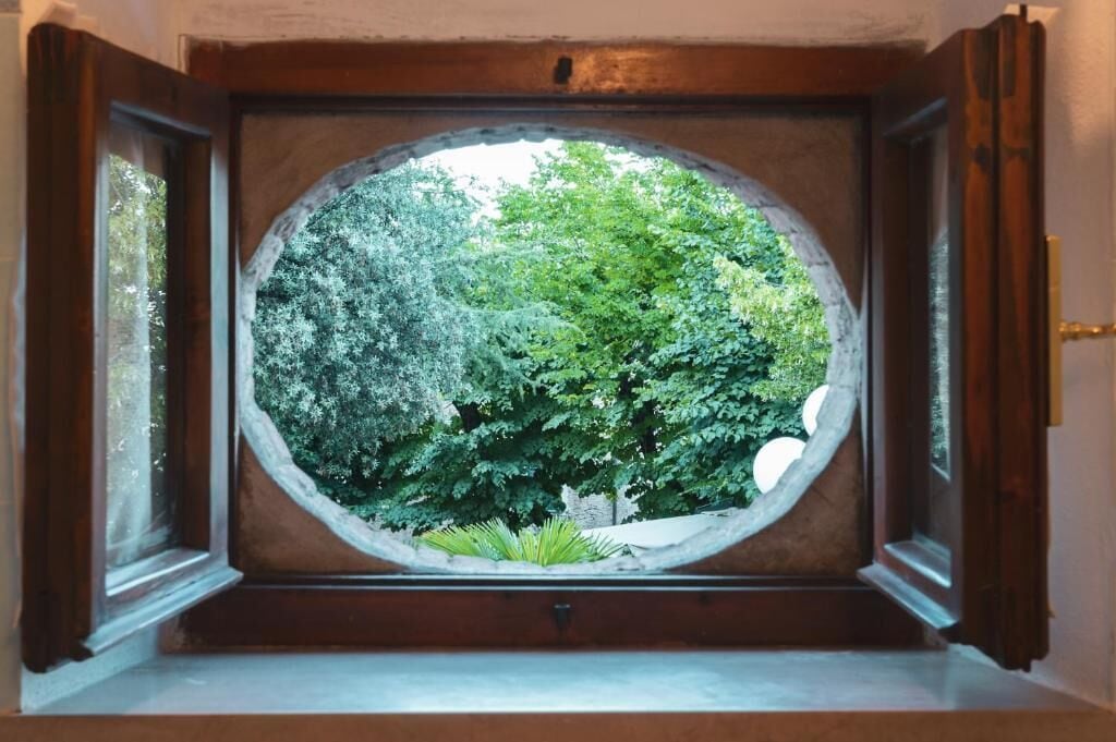 Una ventana con vista a un árbol verde y frondoso.