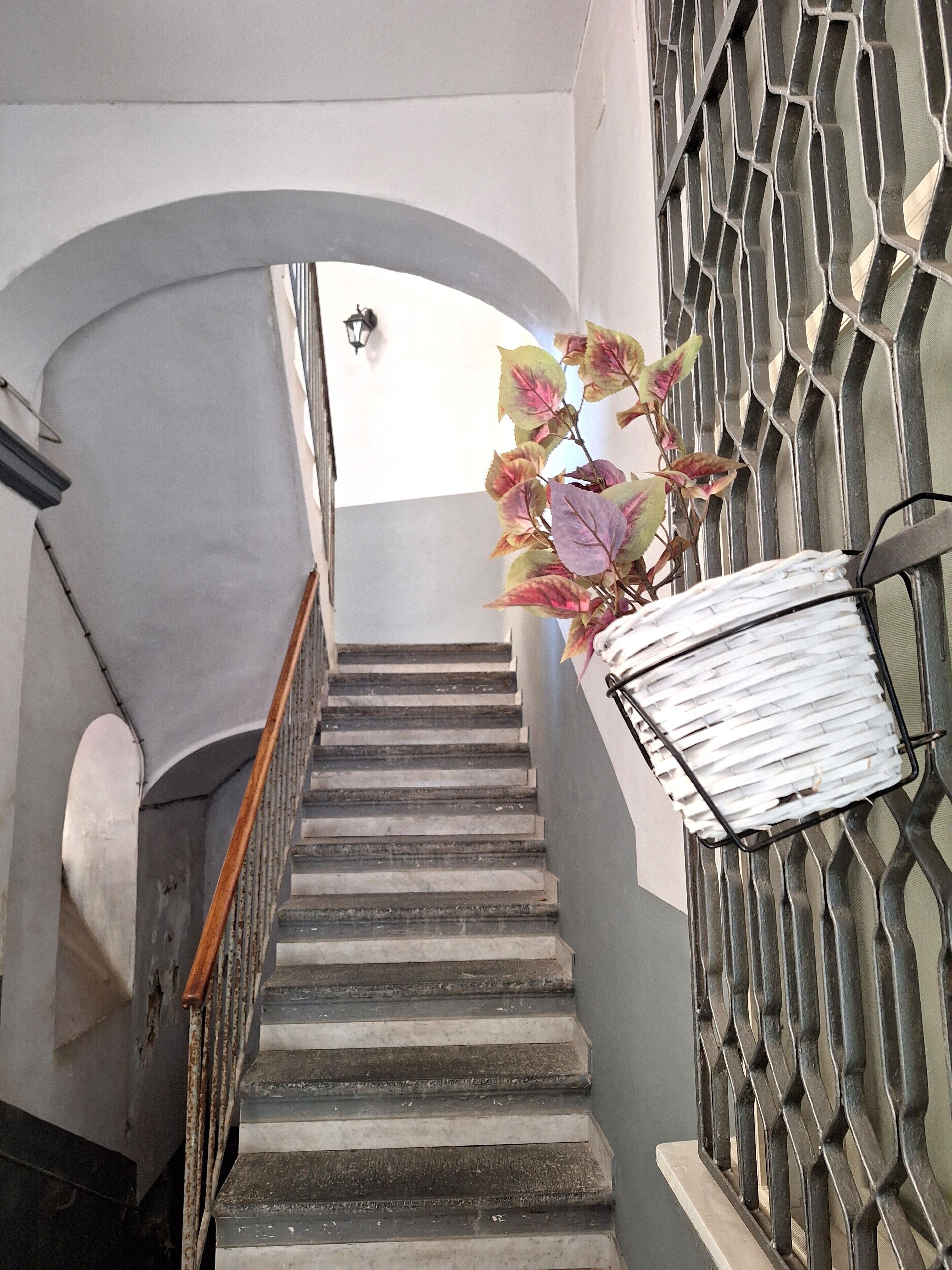 Foto - La casa di LùAle e Zoe