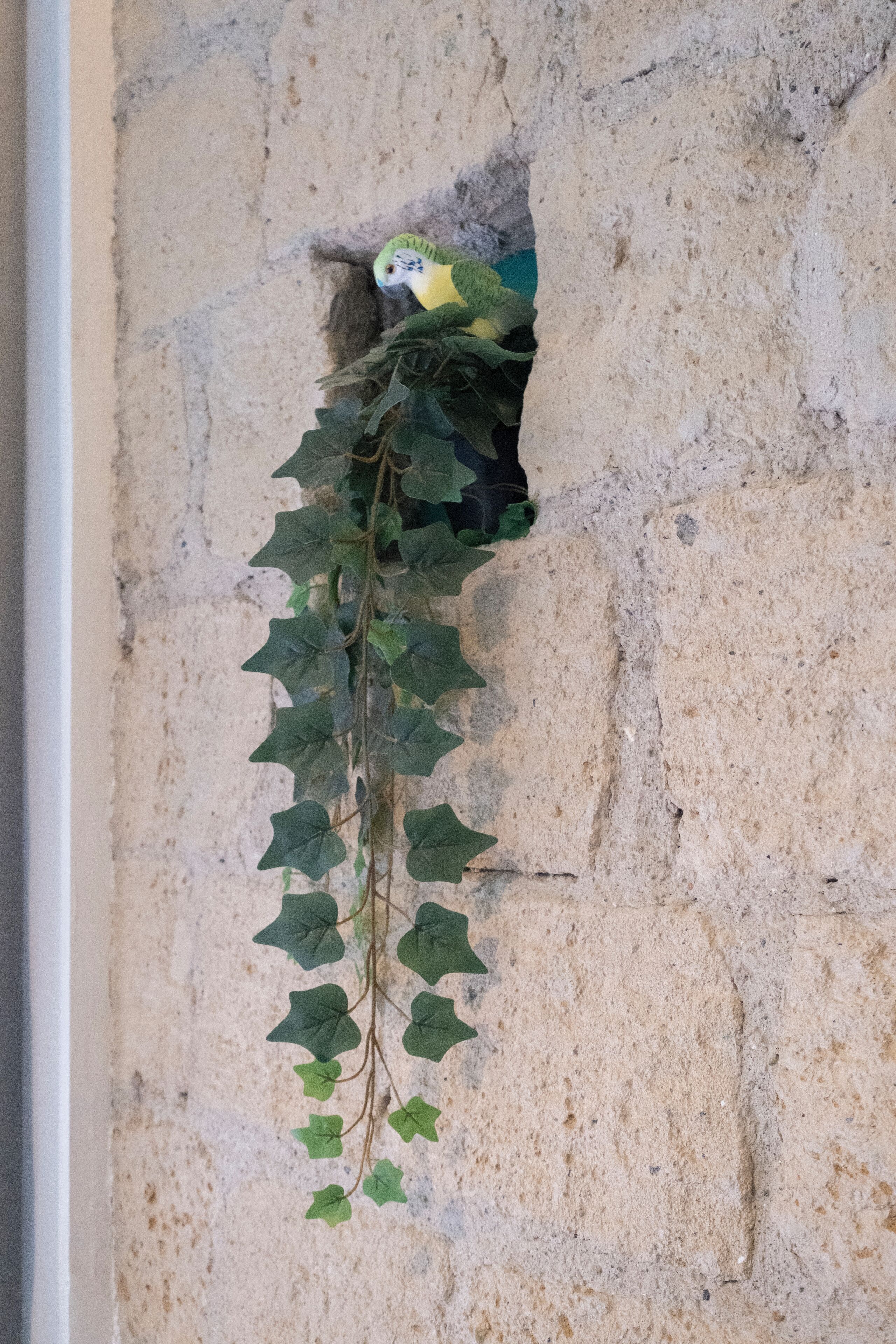 Foto - La casa di LùAle e Zoe