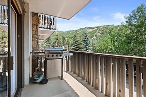 Exterior - Lichenhearth 23 (Snowmass Village)