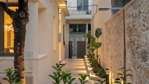 Une cour étroite et bien éclairée, avec un arbre, des plantes en pot et un mur de pierre.