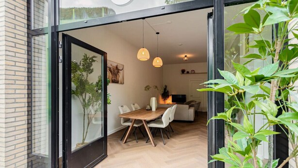 A modern dining area with a wooden table and chairs, a glass door leading to a kitchen, and a potted plant.