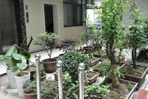 Un ensemble de plantes en pot disposées dans une cour, comprenant différents types de plantes et de pots.
