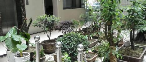 A potted plant arrangement in a courtyard with various types of plants and pots.