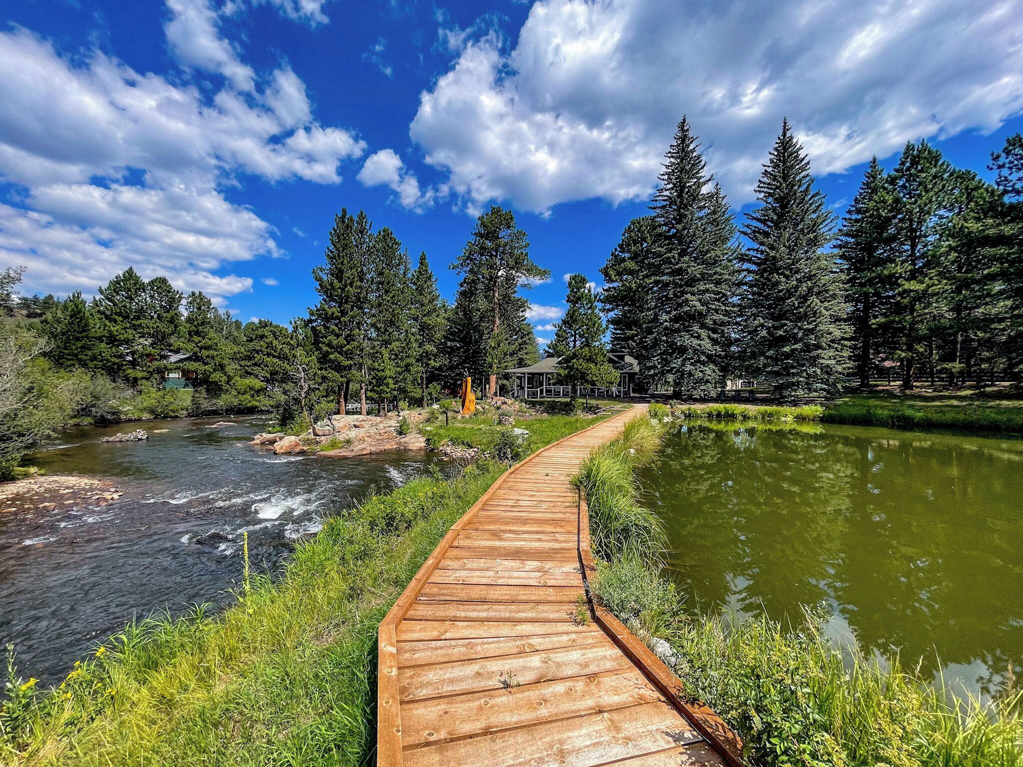 A wooden boardwalk along a river with dense trees and a clear sky.