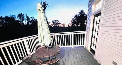 Relax & Unwind in a Spacious Historic Home with Porch, Patio, & Sunroom