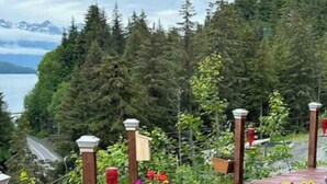A wooden deck with potted plants and a view of a forest and mountains.