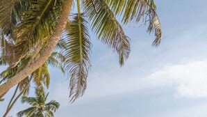 Una playa con palmeras, una toalla con una pelota naranja y una persona caminando.