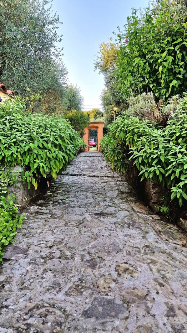 Property grounds - Villa Pacinotti - Appartamento La Salvia - Storia e Natura in Toscana (Toscana)