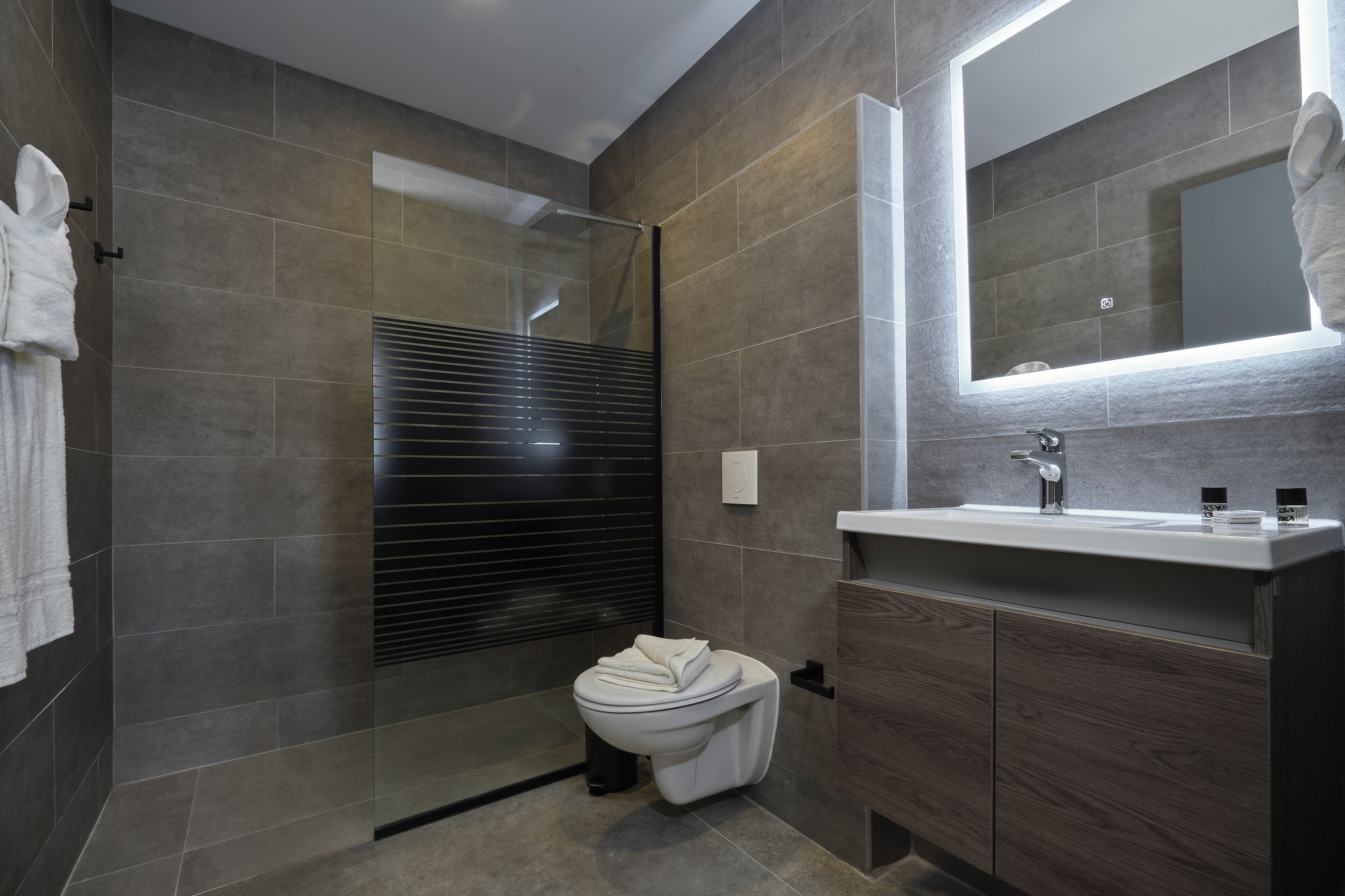 A modern bathroom with a glass-enclosed shower, a toilet, and a vanity with a mirror.