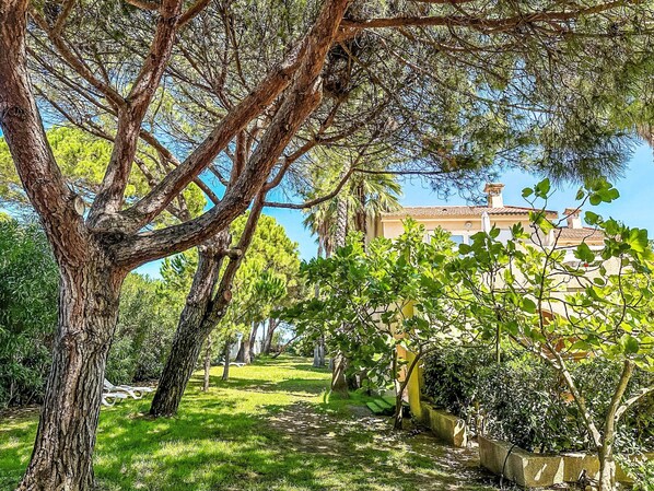 Stroll through the serene garden, surrounded by lush greenery and mature trees, to a traditional building with a tiled roof.