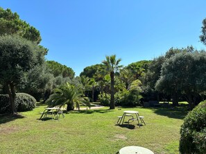 Enjoy a serene outdoor space with picnic tables and benches amidst lush trees and shrubs.