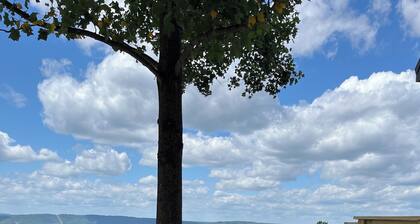 Wow! Look @ That View! Sleeps 7, cabin with AC, Wifi, lots of games.
