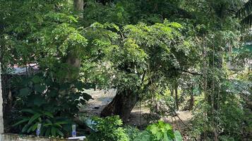 House | Property grounds