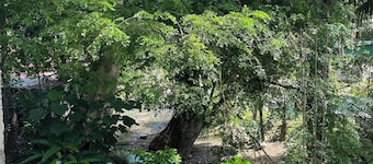 บ้านพักซ่อนตัวแสนอบอุ่นในซัมโบอังกา - บ้าน 1 ห้องนอน