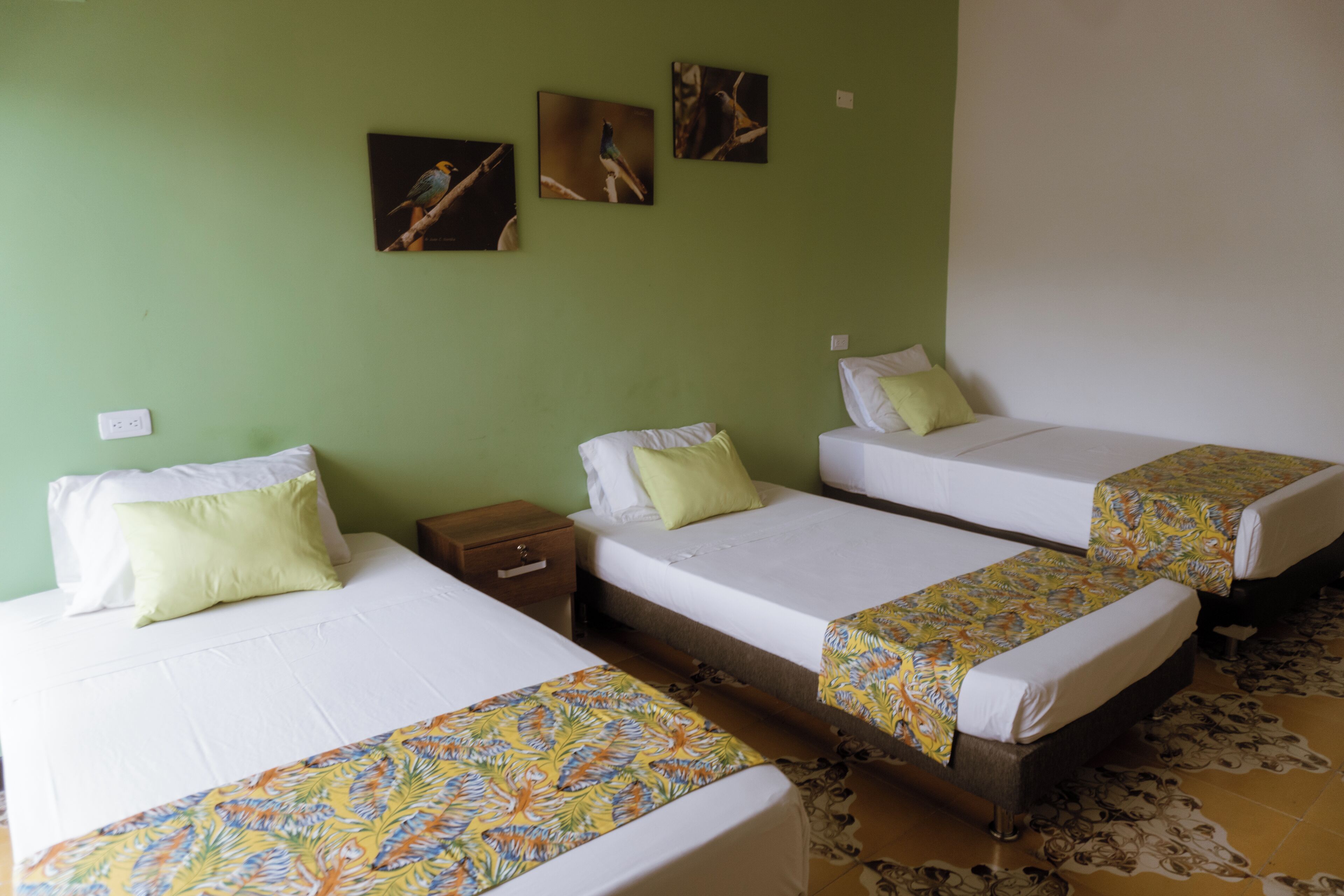 Una camera d'albergo con tre letti singoli, ognuno con un materasso bianco e una coperta colorata. Tre quadri di uccelli sono appesi alle pareti.