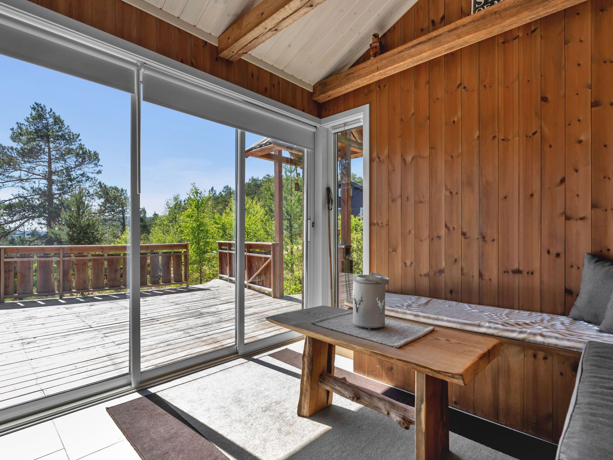 تلفزيون، مدفأة، مشغل دي في دي