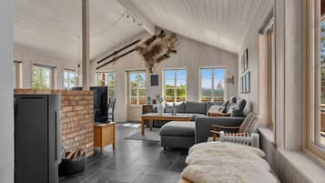 TV, fireplace, DVD player