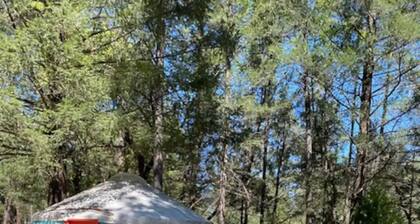 Yurt and Camp Site - Perfect for Large Groups