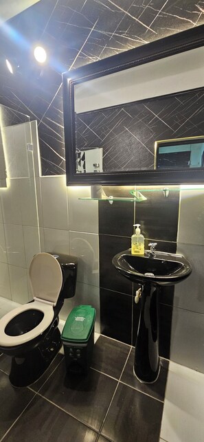 Chuveiro, secador de cabelo, toalhas de banho, sabonete