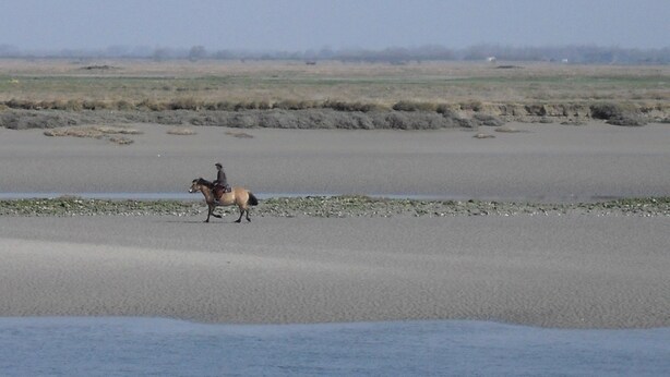 Un cavaliere a cavallo in un paesaggio pianeggiante e aperto, con un orizzonte lontano.