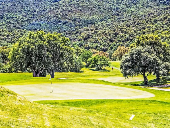 A golf course with a putting green, sand bunkers, and trees.