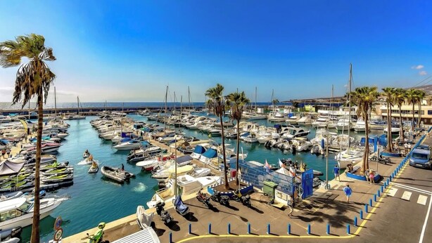 A marina with numerous boats docked, palm trees, and a clear blue sky.