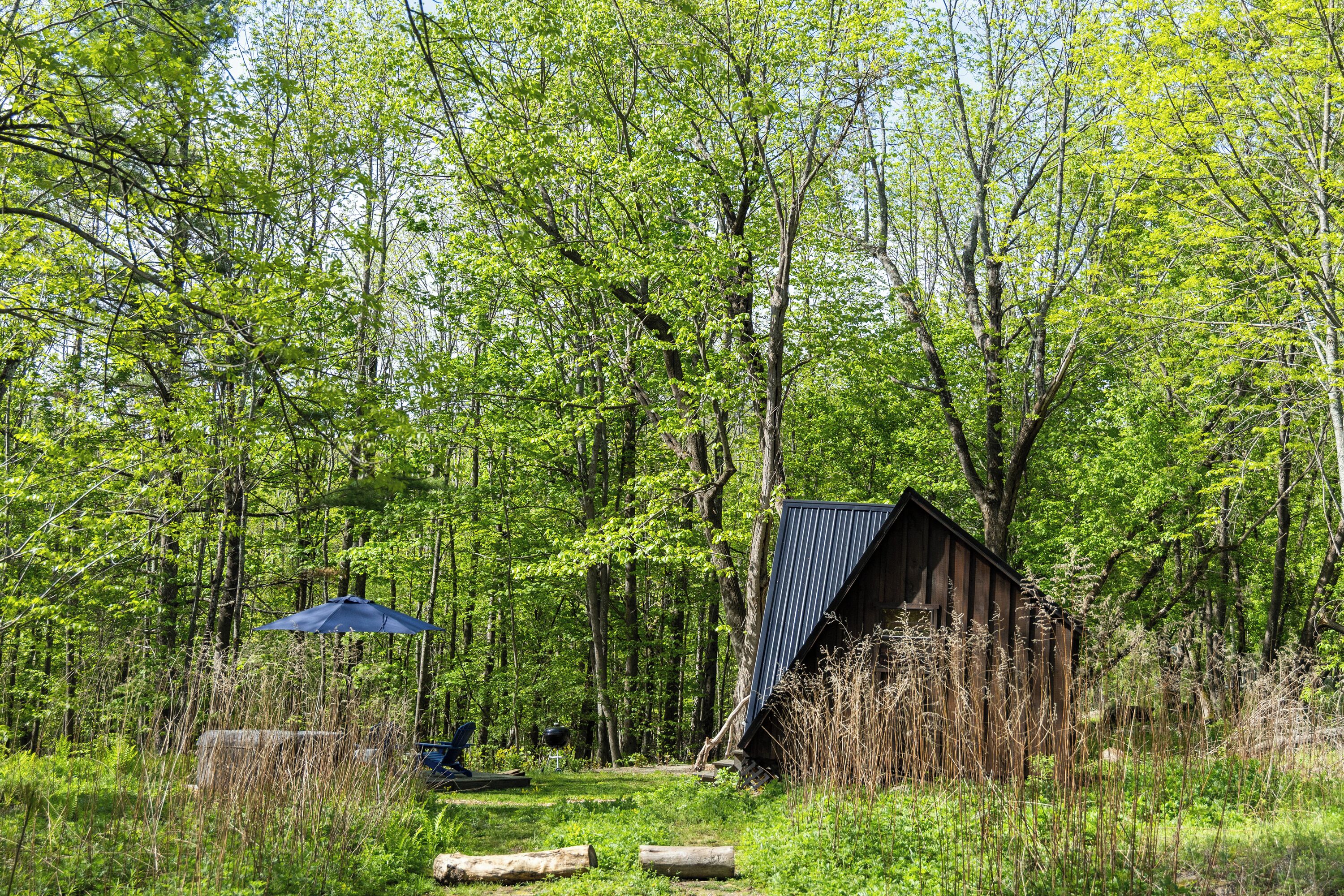 Eine rustikale Holzhütte, umgeben von dichtem Wald, ein blauer Regenschirm und eine weitere Holzhütte.