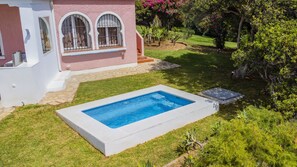 Una piscina rectangular con borde blanco, rodeada por un césped cuidado y diversas plantas.