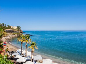 Une vue sur la plage, avec un ciel bleu dégagé, des palmiers et une plage de sable.