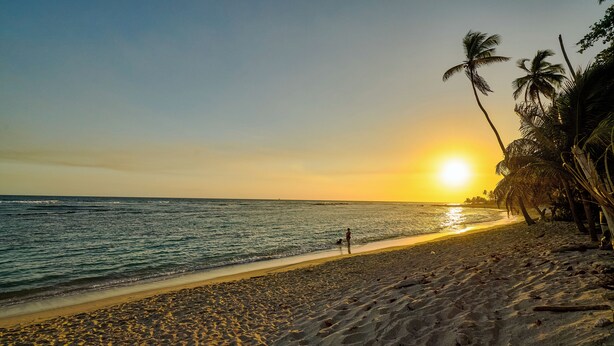 Una playa con un atardecer, palmeras y huellas en la arena.