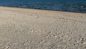 Ein Strand mit felsigem Ufer und ruhigem Wasser.