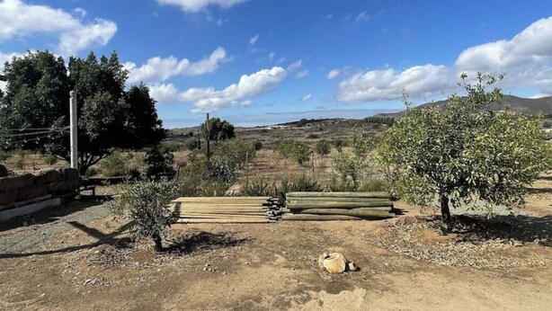 A dry, open landscape with scattered trees and a clear sky. - DaNik Valle (Ensenada)