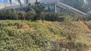 A modern building with a sloped roof, surrounded by dense shrubbery and a palm tree. - DaNik Valle (Ensenada)