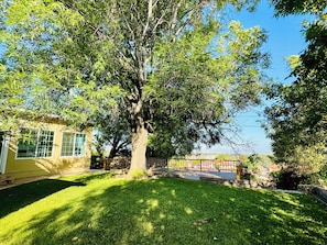 Situated beneath a mature tree, this residence offers a serene atmosphere.